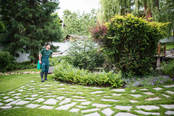 Best Best Pest Control Companies  in Pleasant Garden, NC