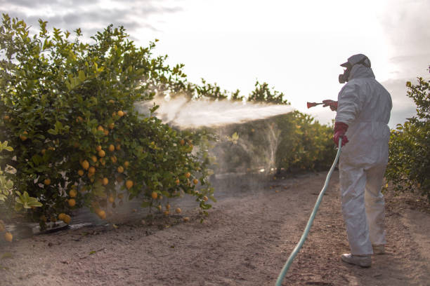  Pleasant Garden, NC Pest Control Pros